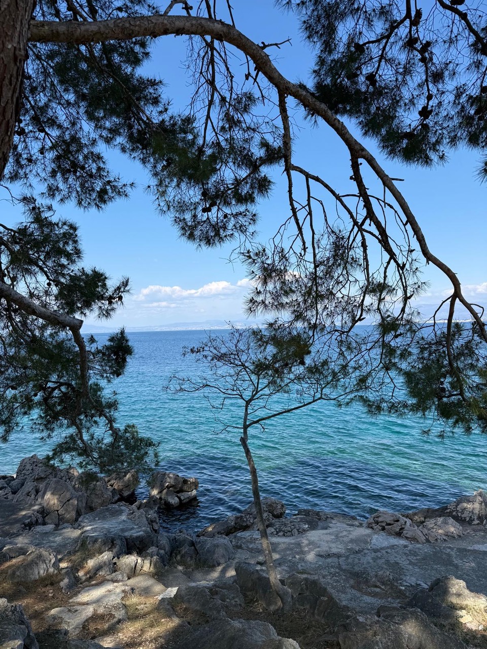 Gaja plaža