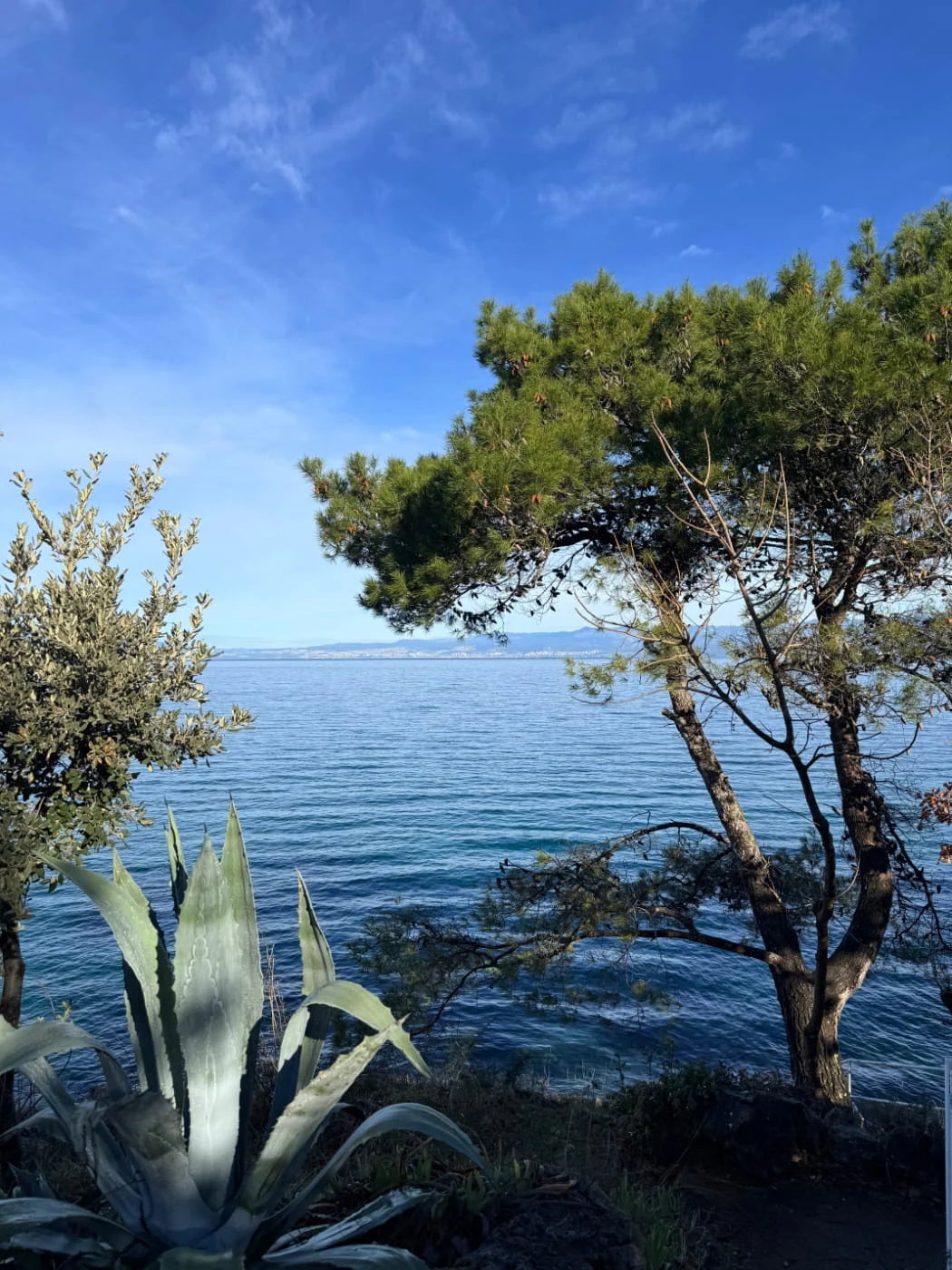 Otok Krk